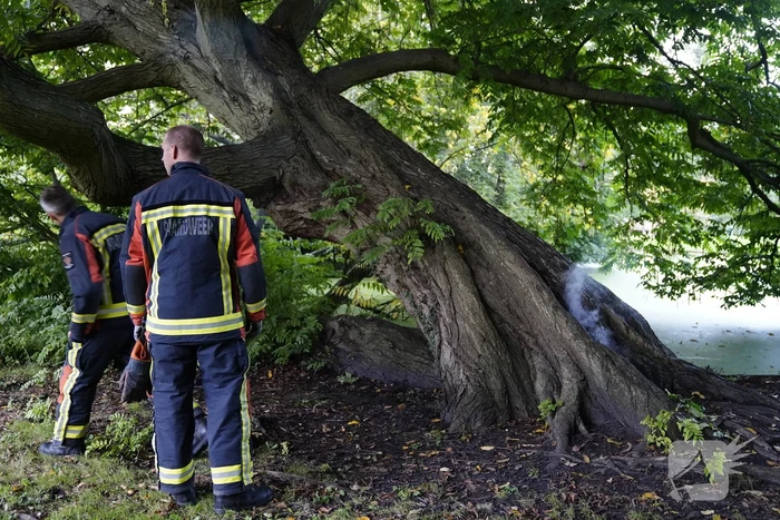 Brand in holle boom