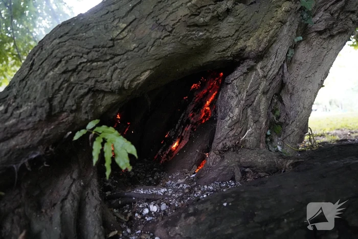 Brand in holle boom