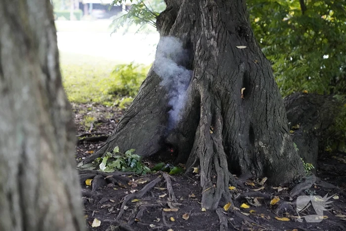 Brand in holle boom