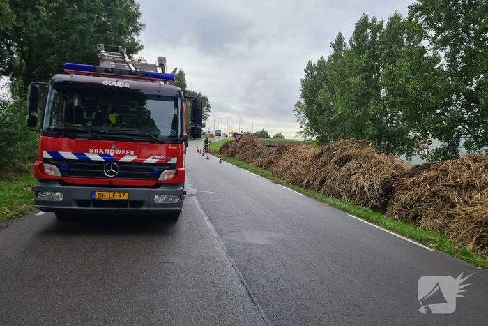 Broei in bergen riet