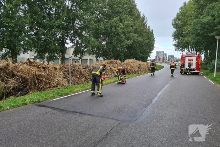 Broei in bergen riet