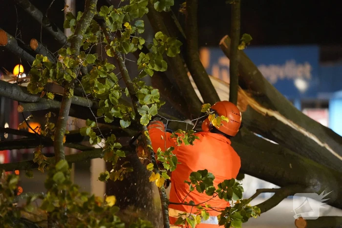 Grote boom valt over weg