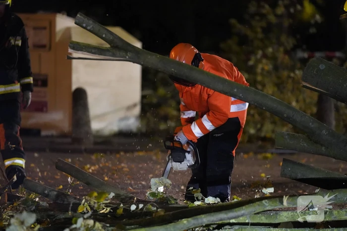 Grote boom valt over weg