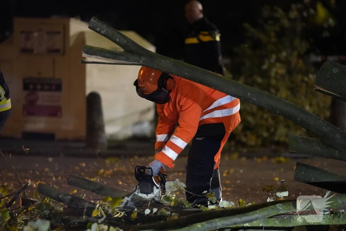 Grote boom valt over weg