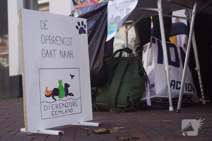 Leerlingen halen geld op voor Stichting Dierenzorg Eemland