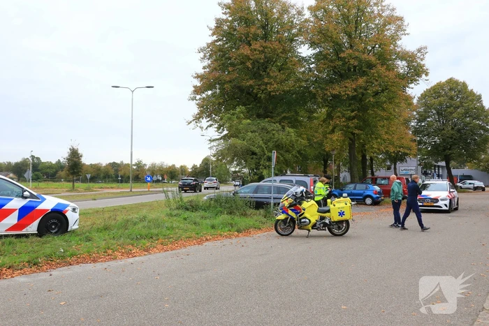 Agressieve pool slaat raam in en raakt gewond