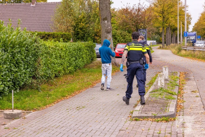 Agressieve pool slaat raam in en raakt gewond