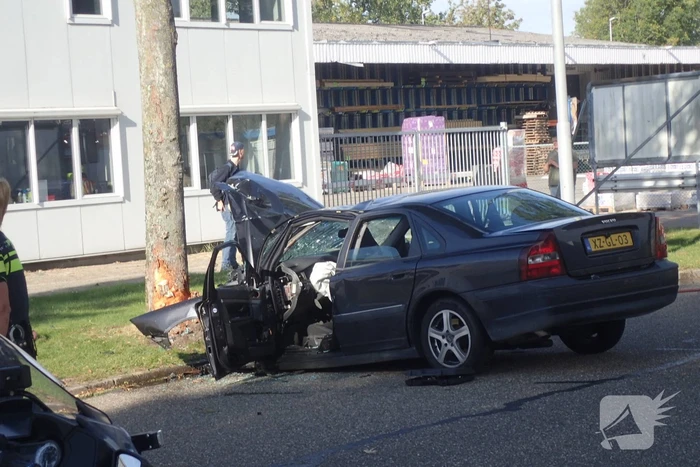 Automobilist gewond door botsing tegen boom