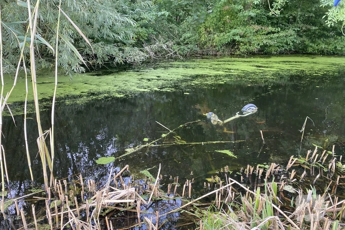 Brandweer verricht zoekslag door kinderfiets in sloot
