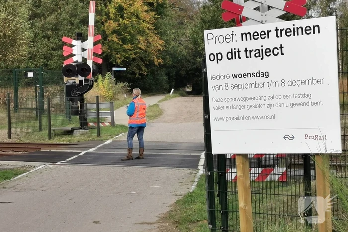 Treinverkeer vertraagd door hond op spoor