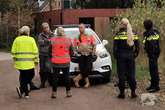 Treinverkeer vertraagd door hond op spoor