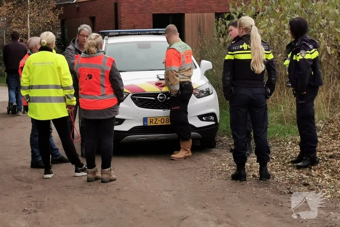 Treinverkeer vertraagd door hond op spoor