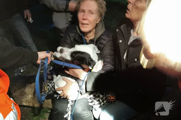 Treinverkeer vertraagd door hond op spoor