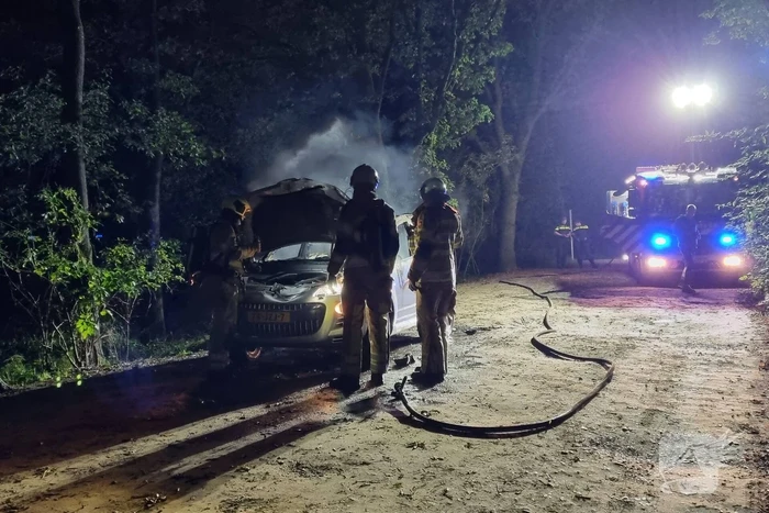 Auto verwoest door brand in bosgebied