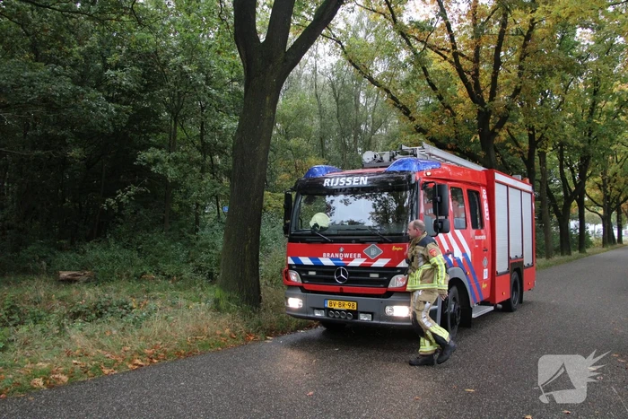Brandweer dooft brand in bos