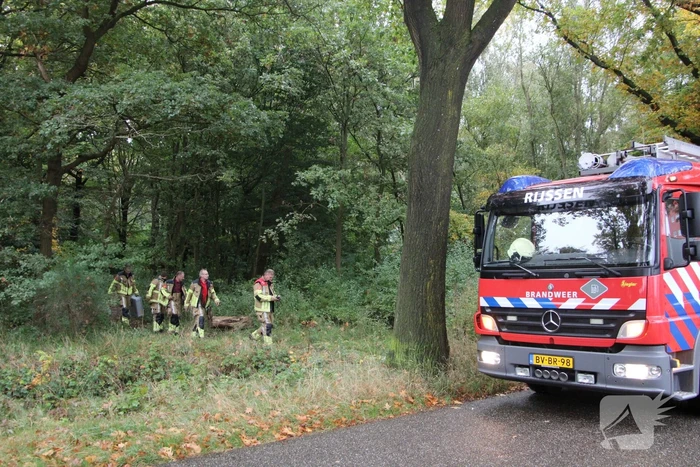 Brandweer dooft brand in bos