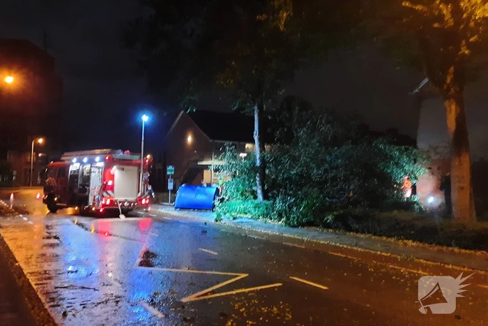 natuur hoofdstraat krimpen aan de lek