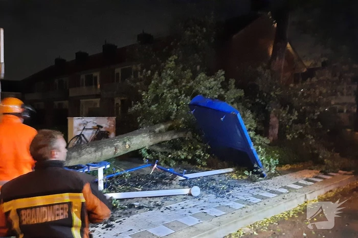 Bushalte verplettert door omgevallen boom