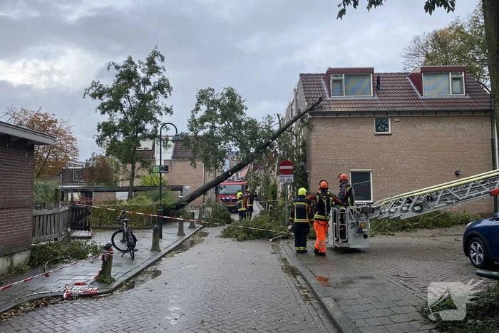 natuur geuzenstraat gouda