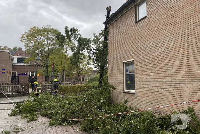 Boom waait om tegen woning aan