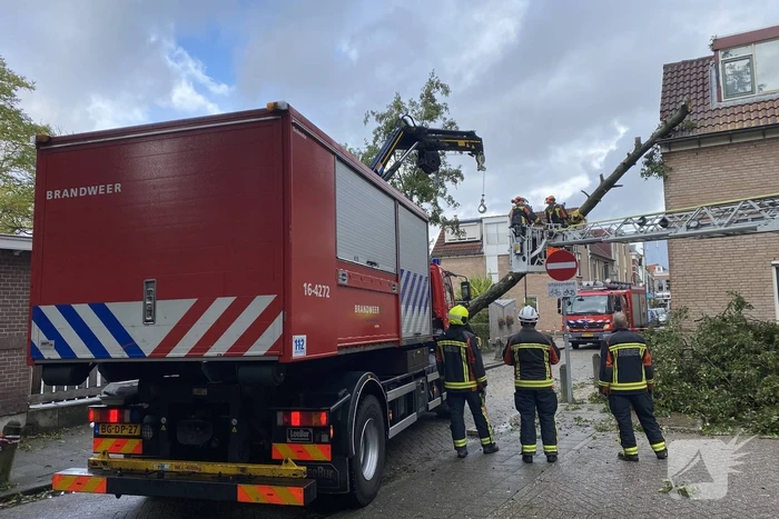 Boom waait om tegen woning aan