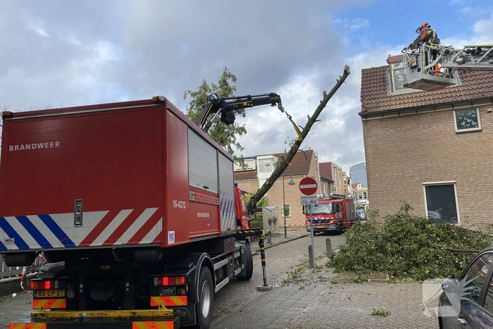 Boom waait om tegen woning aan