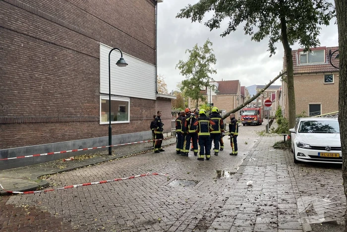 Boom waait om tegen woning aan