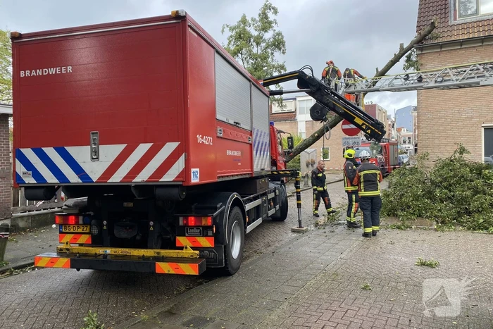 Boom waait om tegen woning aan