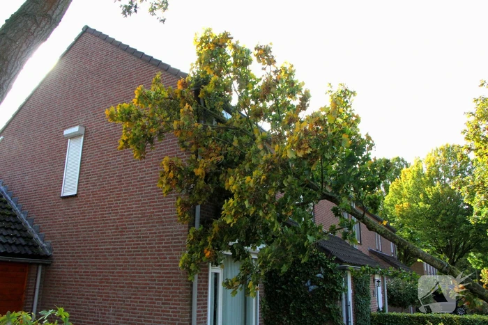 natuur vrakkerstraat weert