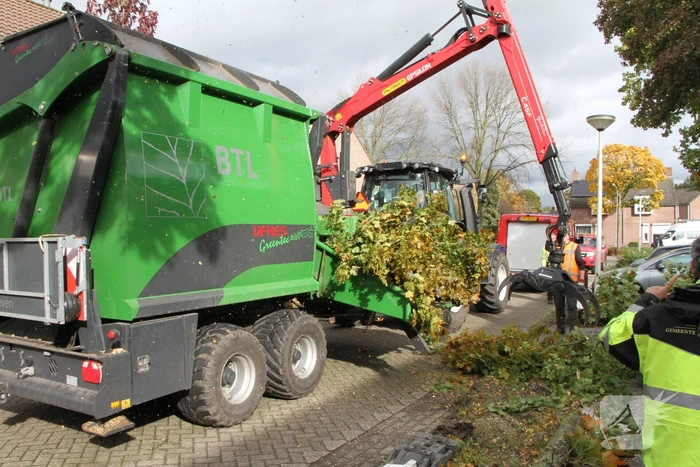 Boom uit grond gewaaid