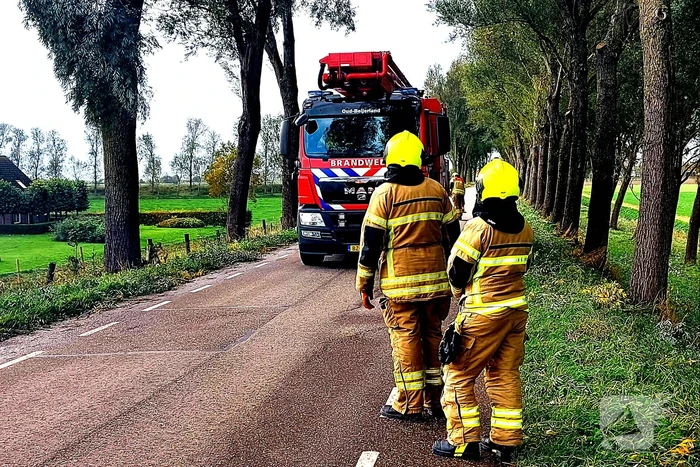 Brandweer verwijdert gevaarlijke hangende tak