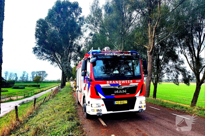 Brandweer verwijdert gevaarlijke hangende tak
