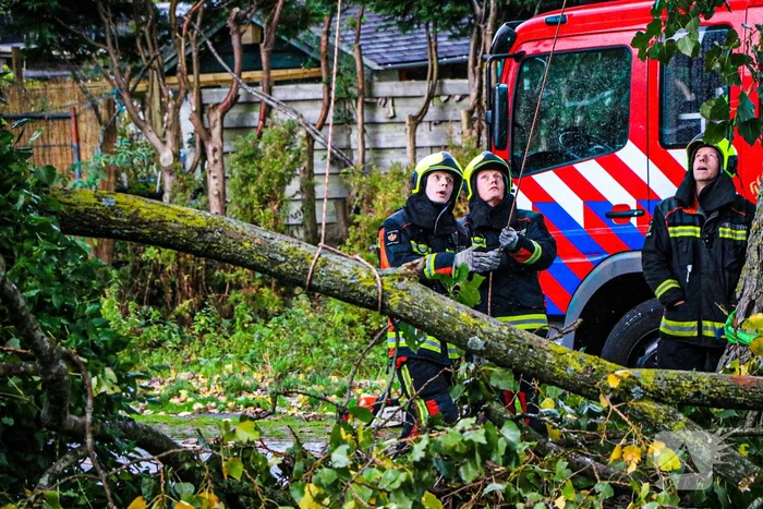 Takken dreigen op woning en fietspad te vallen