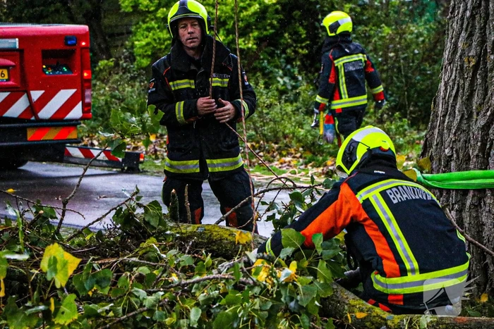 Takken dreigen op woning en fietspad te vallen