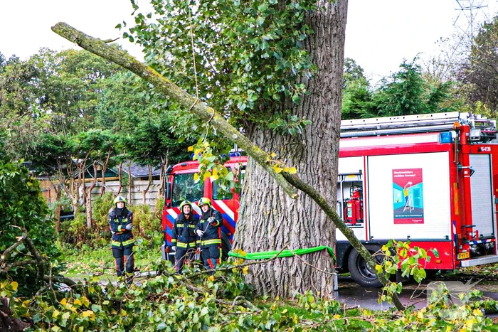 Takken dreigen op woning en fietspad te vallen