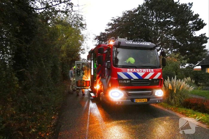 nieuws achterstrypseweg rockanje