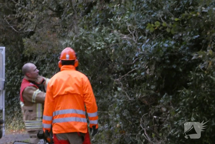 Brandweer zaagt boom om