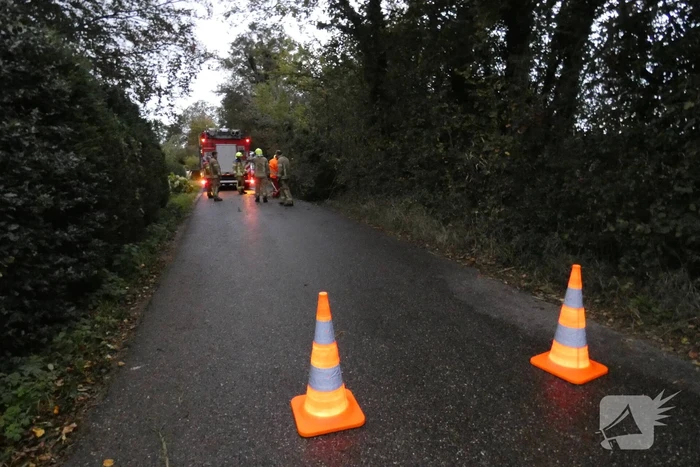 Brandweer zaagt boom om