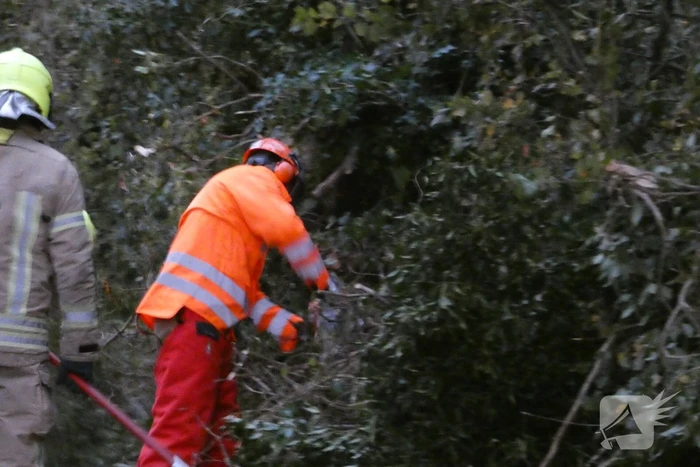 Brandweer zaagt boom om