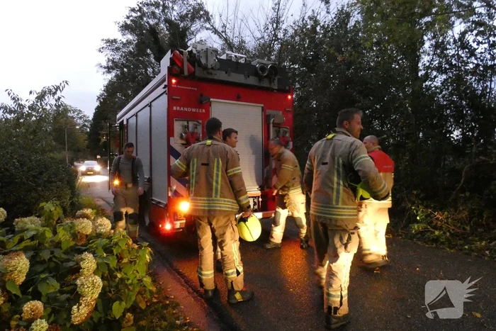 Brandweer zaagt boom om