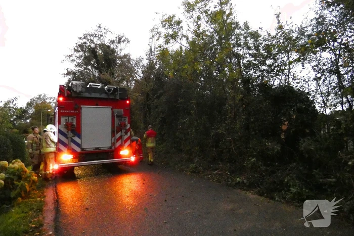 Brandweer zaagt boom om