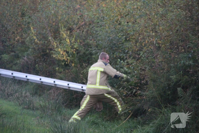 Brandweer blust brandende takken in bos