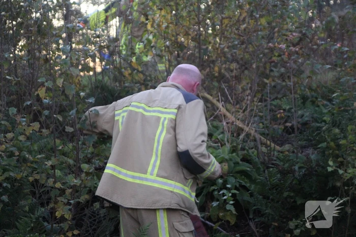 Brandweer blust brandende takken in bos