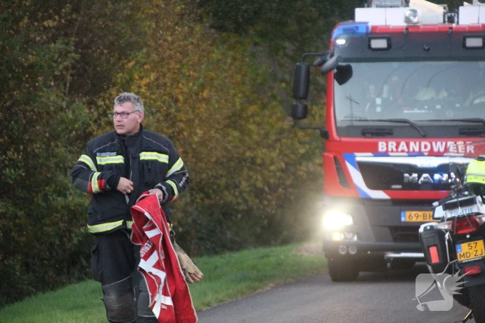 Brandweer blust brandende takken in bos