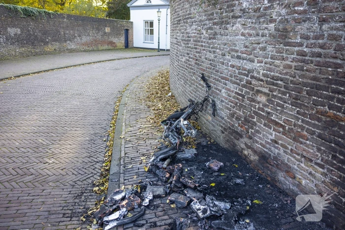 Twee Go-Sharing-deelscooters in vlammen opgegaan