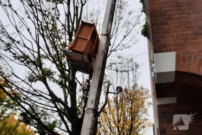 Verhuislift raakt vast in takken van boom