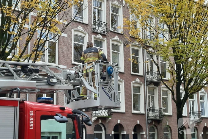 Verhuislift raakt vast in takken van boom