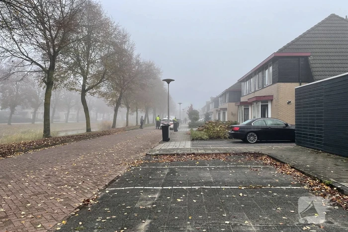 Man gewond na val van ladder