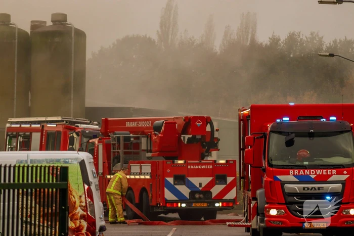 Brand in leegstaande kippenstal