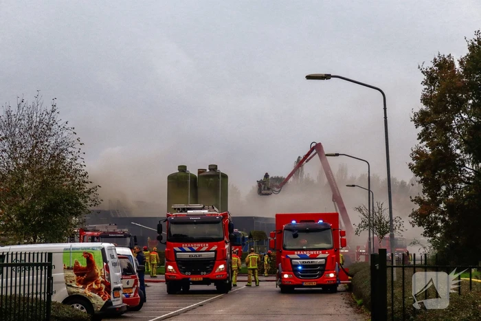 Brand in leegstaande kippenstal
